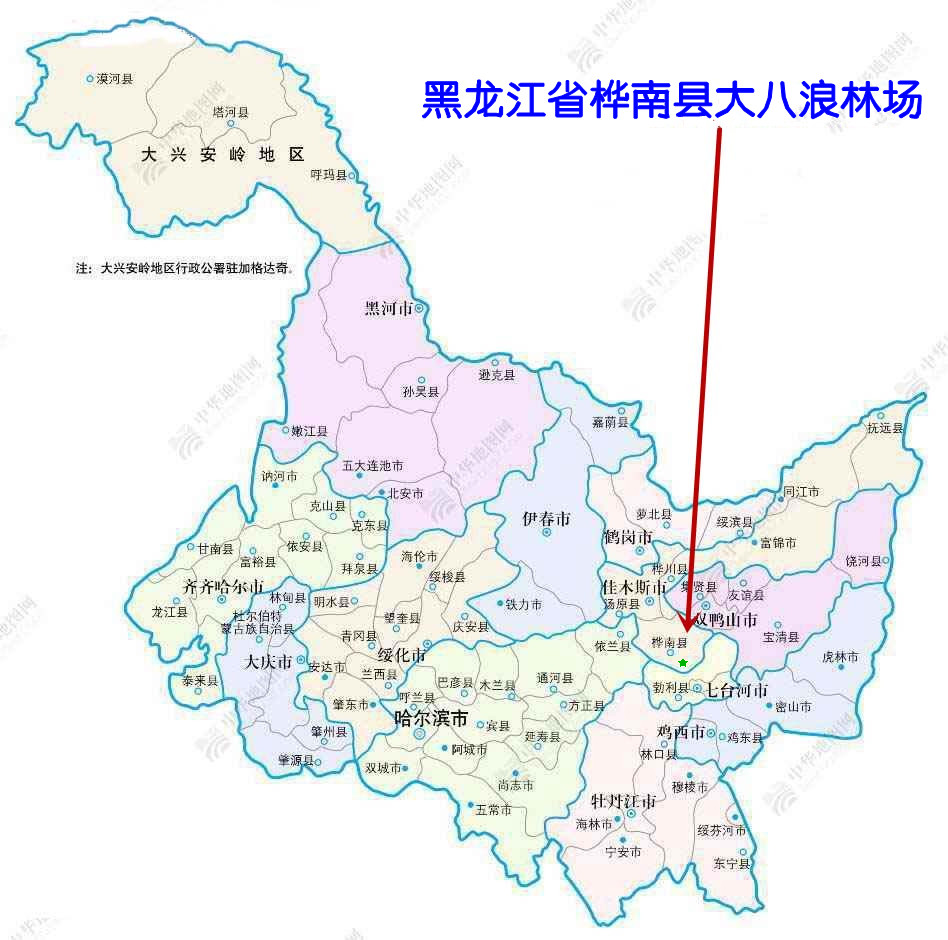 λ
